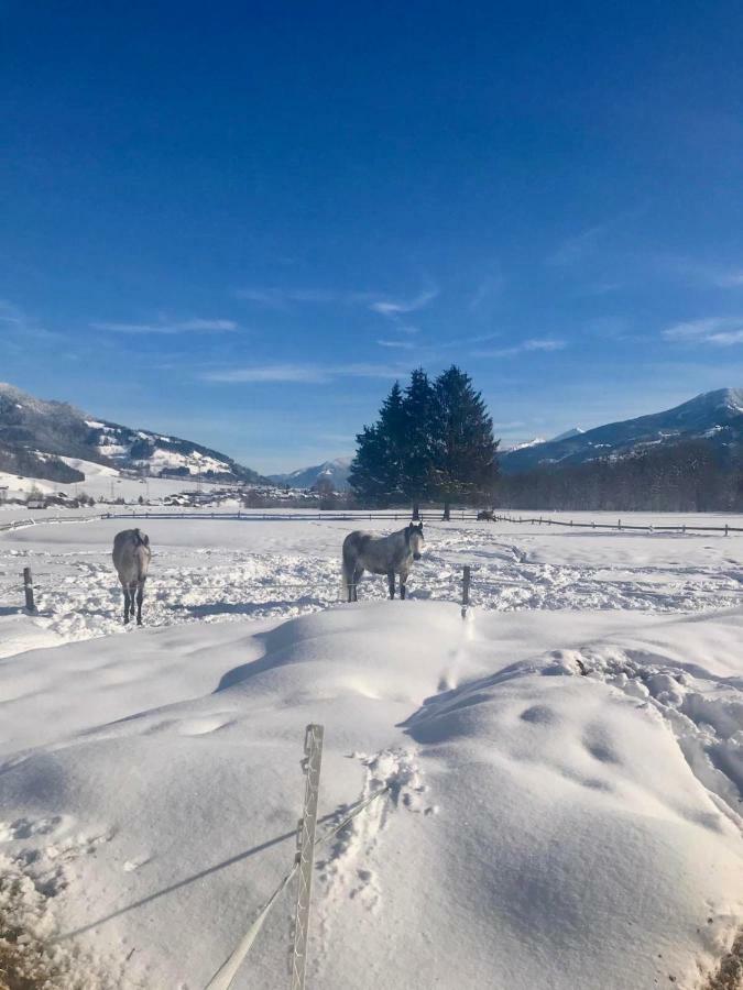 Traumhafte Wohnung Auf Pferde Ranch Aich  Esterno foto