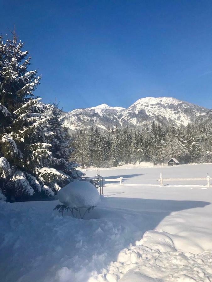 Traumhafte Wohnung Auf Pferde Ranch Aich  Esterno foto