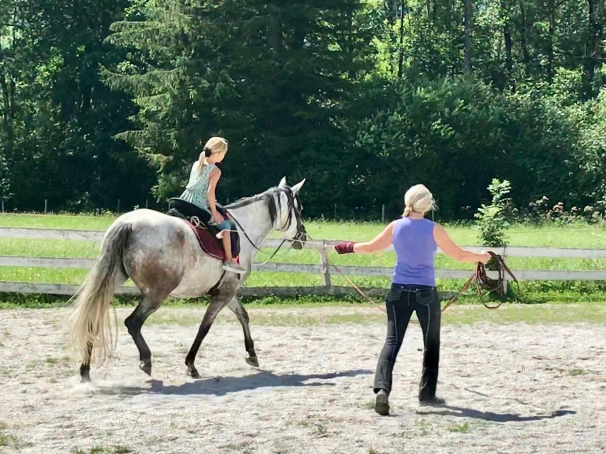 Traumhafte Wohnung Auf Pferde Ranch Aich  Esterno foto