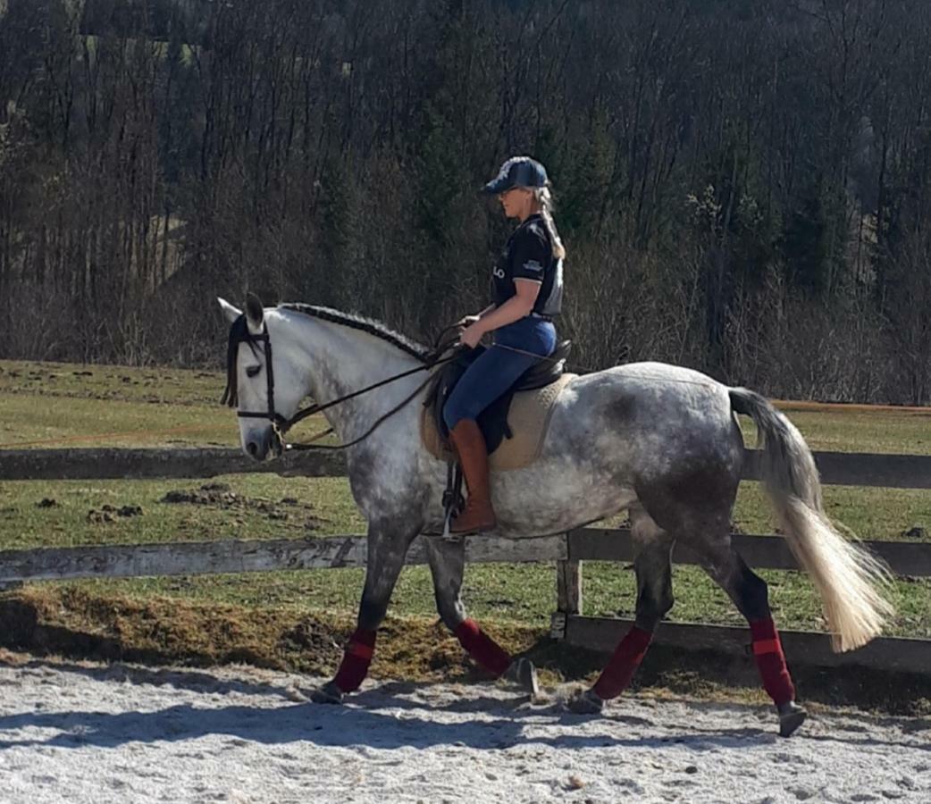 Traumhafte Wohnung Auf Pferde Ranch Aich  Esterno foto