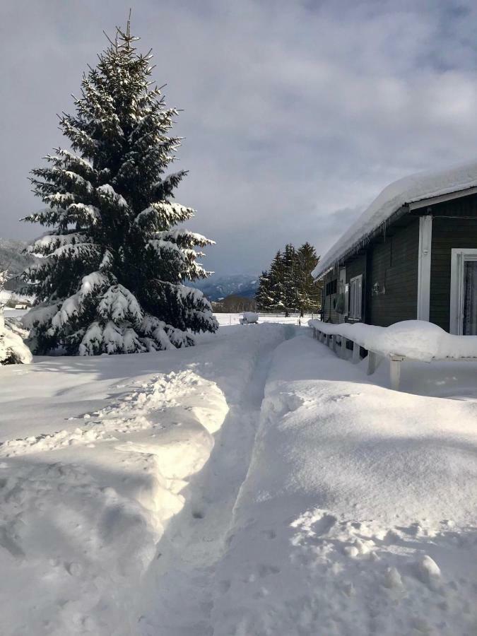 Traumhafte Wohnung Auf Pferde Ranch Aich  Esterno foto