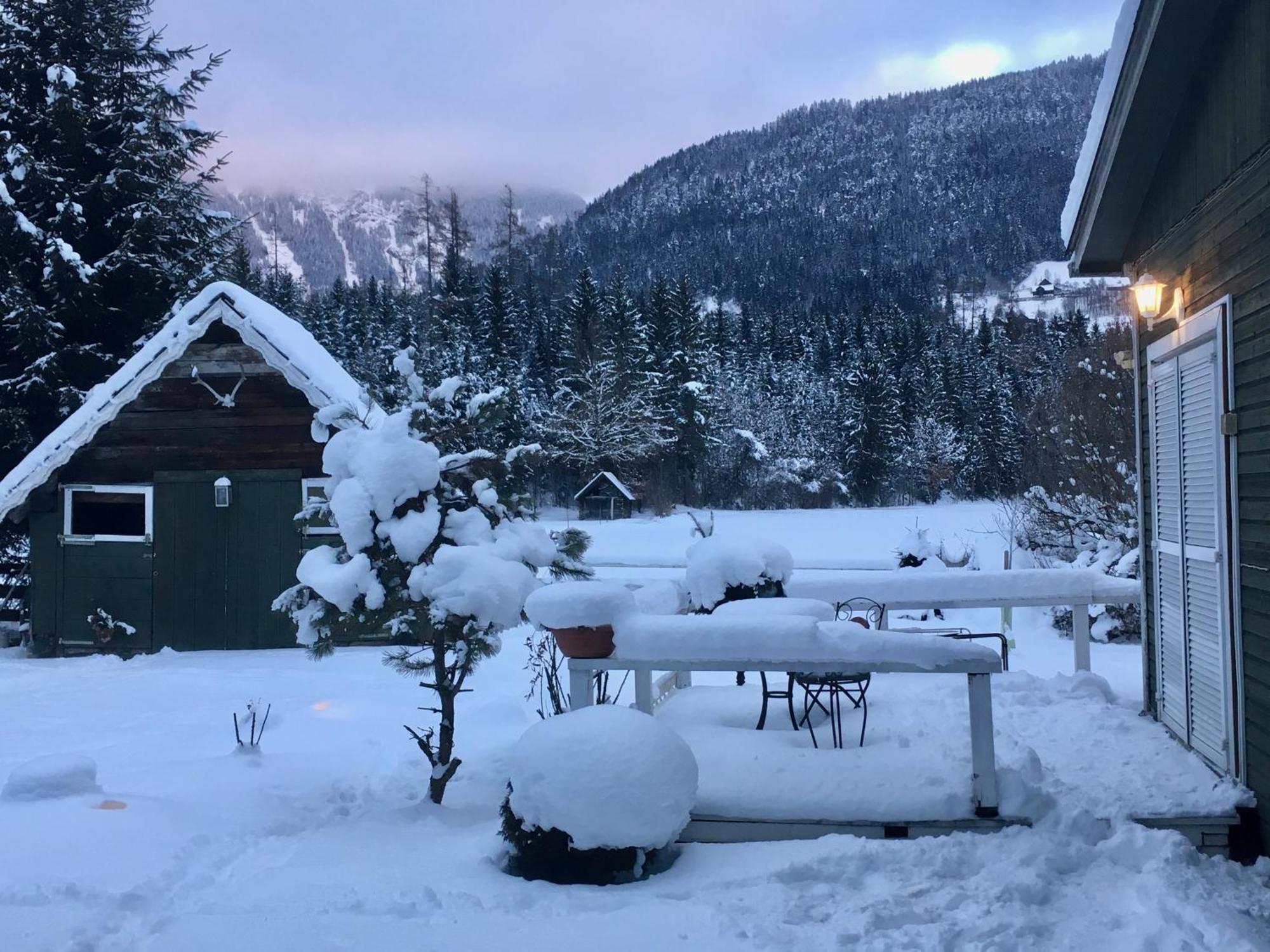 Traumhafte Wohnung Auf Pferde Ranch Aich  Esterno foto